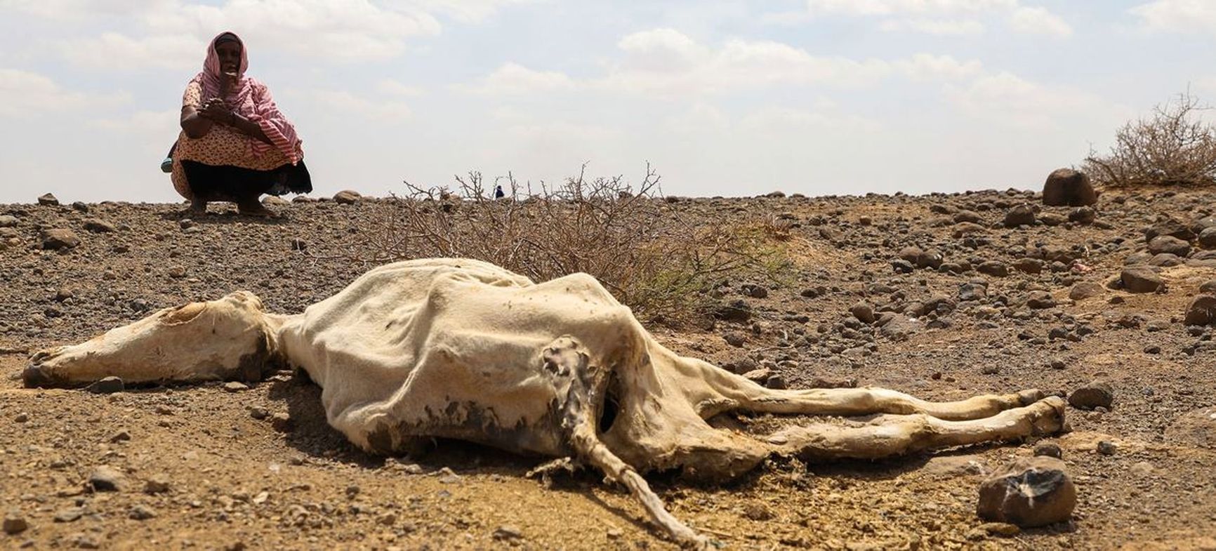 The drought led to famine for 13 million residents in the Horn of Africa